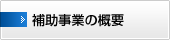 補助事業の概要