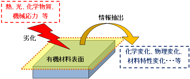 実験概要